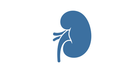 Fototapeta premium Kidney Symbol in Medical Iconography a Vital Organ Depicted with a Clean Simple Aesthetic