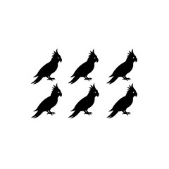 6 different cockatoo silhouette vector icons set o