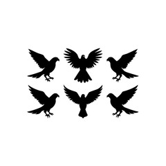 Obraz premium 6 different hawk silhouette vector icons set on wh