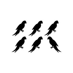 Fototapeta premium 6 different macaw silhouette vector icons set on w