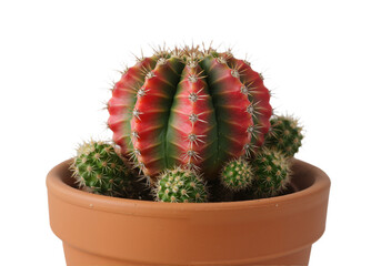 Wireless audio headphones and earbuds set isolated on a white background for modern listening