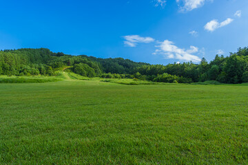 Obraz premium 原山市民公園（高山市） 夏