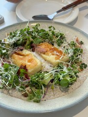 Gnocchi with basil sause