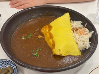 curry with egg and vegetable