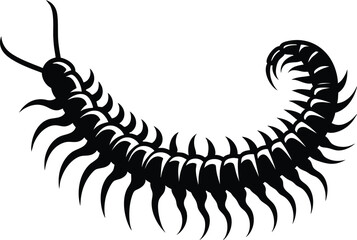 Dangerous centipedes insect silhouette vector illustration isolated on white background