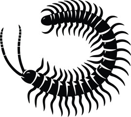 Naklejka premium Dangerous centipedes insect silhouette vector illustration isolated on white background