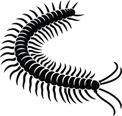 Dangerous centipedes insect silhouette vector illustration isolated on white background