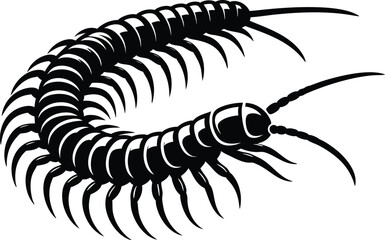 Dangerous centipedes insect silhouette vector illustration isolated on white background