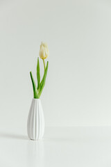 simple white vase holds single white tulip with green leaves, placed on clean surface. bright background emphasizes minimalism and elegance in home decor. vertical. close up.