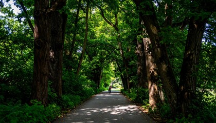 Obraz premium A shaded pathway winds through a lush green tree-lined park, bathed in the sunlight filtering through the dense foliage.