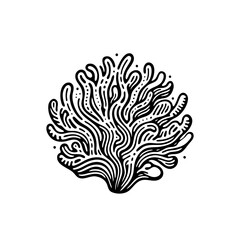 A detailed black coral illustration with intricate lines and organic shapes, isolated on a white background for versatile design, marine-themed branding, and decorative purposes.