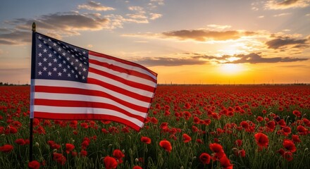 The american flag waves proudly in a vast field of red poppies at sunset, symbolizing patriotism and remembrance