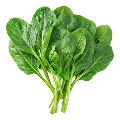 Spinach, clipping path isolate on transparency background