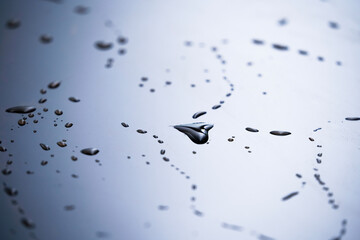Water droplets on the surface of the car paint