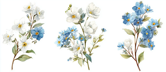 White and blue flowers watercolor painting features soft floral texture. Use for invitation design, cards, or wedding decoration.