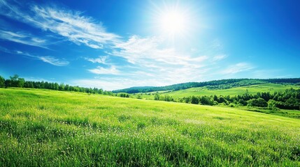 Obraz premium A serene, green meadow with a bright sun shining overhead, creating a peaceful and idyllic landscape.