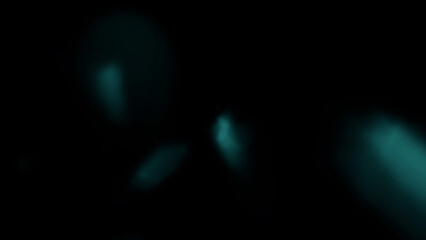 Mysterious ethereal teal light flares softly illuminating dark abstract background for creative projects