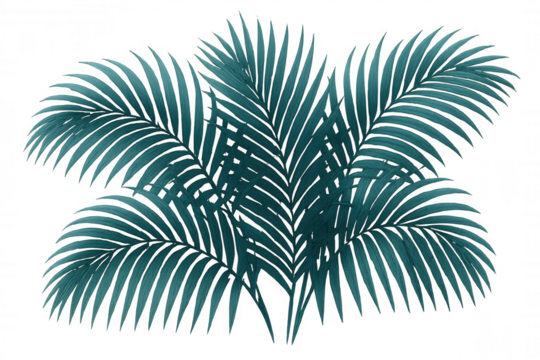 Teal palm fronds forming vibrant tropical backdrop, transparent background offering natural design element with exotic green aesthetic