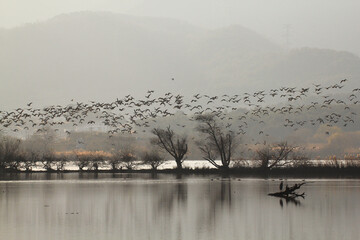 migratory bird season