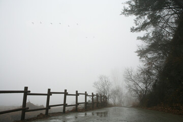 Foggy Upo Wetland, Korea's largest inland wetland