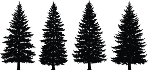 Silhouette of pine trees set, evergreen coniferous forest shapes, black tree outlines isolated on white background, vector nature collection