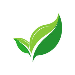 Fototapeta premium Modern Herb Leaf SVG Logo 