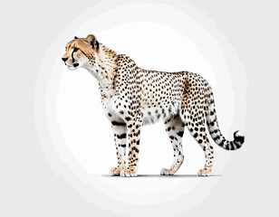 Cheetah Silhouette digital Art, Intricate Powerful and Ready for Print or Web, Sharp Details. Strong Identity. Timeless Design, Symbolize Strength, Courage, Logo, and Leadership