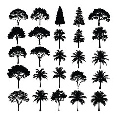 Diverse collection of silhouetted trees providing natural beauty and landscape design elements silhouette