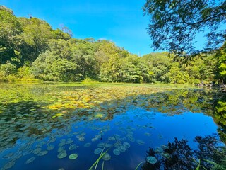 Taiwan Yilan Fushan Botanical Garden is the largest in Asia and has a large number of wild animals. Taiping Mountain there are many primitive forest trails with towering ancient trees