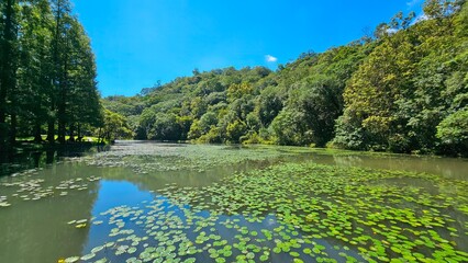 Taiwan Yilan Fushan Botanical Garden is the largest in Asia and has a large number of wild animals. Taiping Mountain there are many primitive forest trails with towering ancient trees