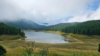Taiwan Yilan Fushan Botanical Garden is the largest in Asia and has a large number of wild animals. Taiping Mountain there are many primitive forest trails with towering ancient trees