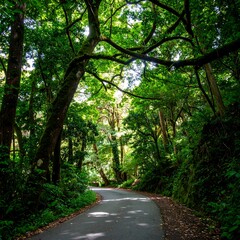 Obraz premium Lush forest road winding through trees (2)