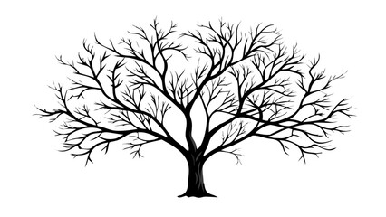 Fototapeta premium Illustration of a leafless tree with intricate branching patterns against a white background image art