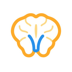 Stylized brain illustration with yellow outline and blue accents