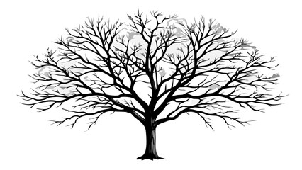 Obraz premium Silhouette of a bare tree with intricate branches against a white background in grayscale illustration