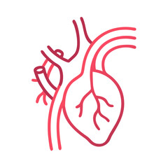 Heart anatomy illustration in pink on dark background graphic