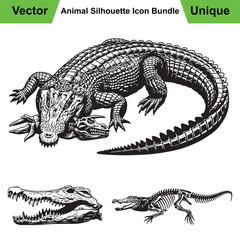 Crocodile Anatomy Set with Death Roll Pose, Skull, and Skeleton