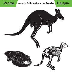 Kangaroo Anatomy Collection with Leaping Pose, Skull, and Skeleton