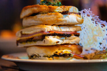sandwich with various food materials