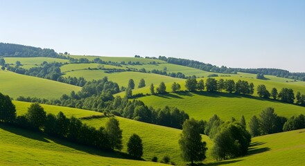 Rolling green hills and lush pastures under a clear blue sky.