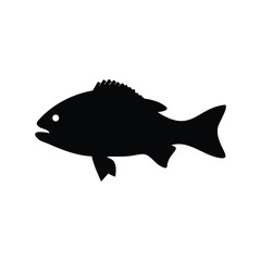 Silhouette of a common looking fish species swimming in the ocean