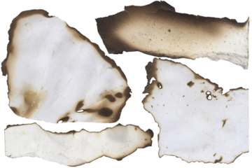 Burnt paper edge texture – charred torn sheet, isolated transparent background