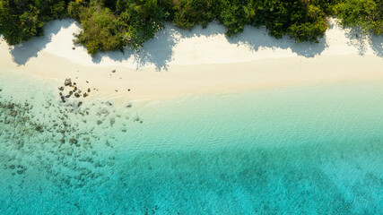 Aerial view of the dark green forest and the sea. Natural ecosystems of forests and oceans. concept...