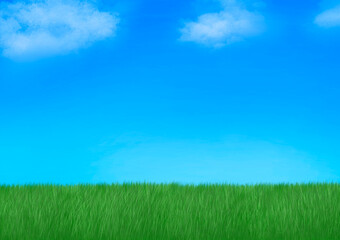 Green Lawn with Blue Sky and Light Clouds（芝生と青空とうすい雲）