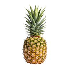 Whole ripe pineapple with green leaves isolated on transparent background