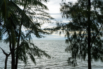 Golden sunset reflects on the tranquil water of a forest lake, with pine trees silhouetted against a vibrant sky