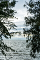 Golden sunset reflects on the tranquil water of a forest lake, with pine trees silhouetted against a vibrant sky
