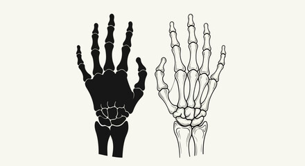 Two skeletal hands, one solid black, one outlined, displayed side-by-side on a light background.