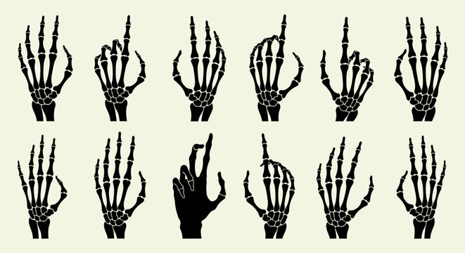 A collection of skeletal hand illustrations in various poses, including pointing and open hand gestures.