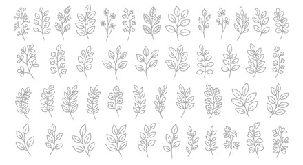 Collection of simple, outlined plant and flower illustrations.